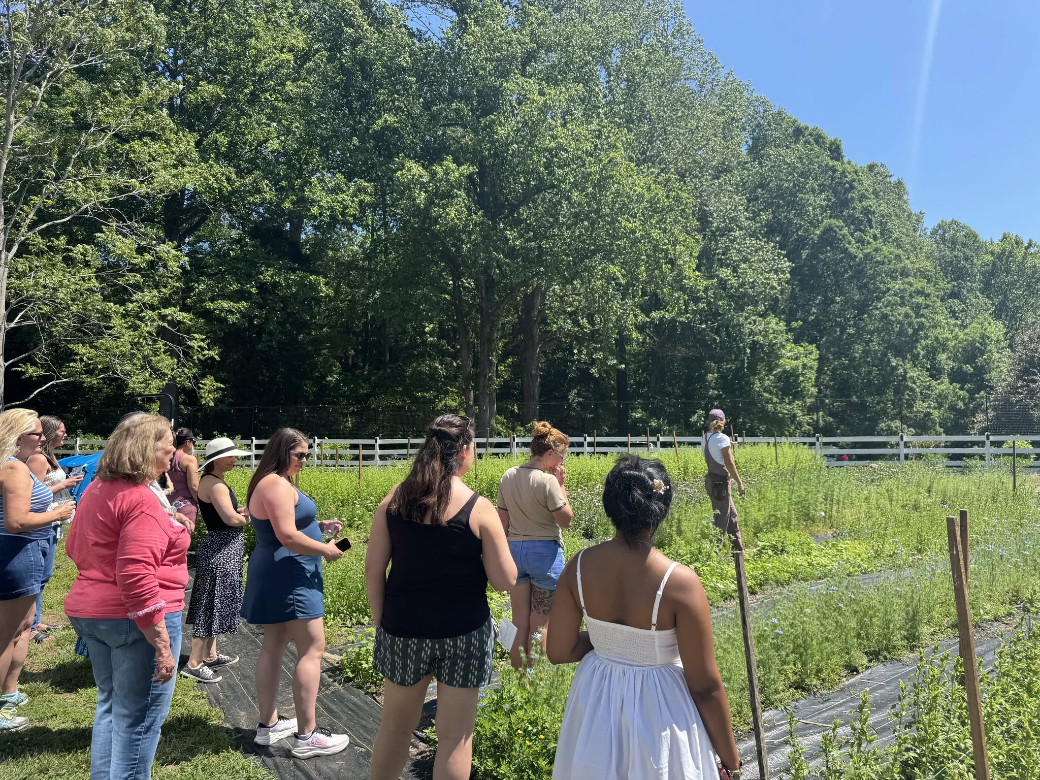 People standing in a field taking a tour of a farm