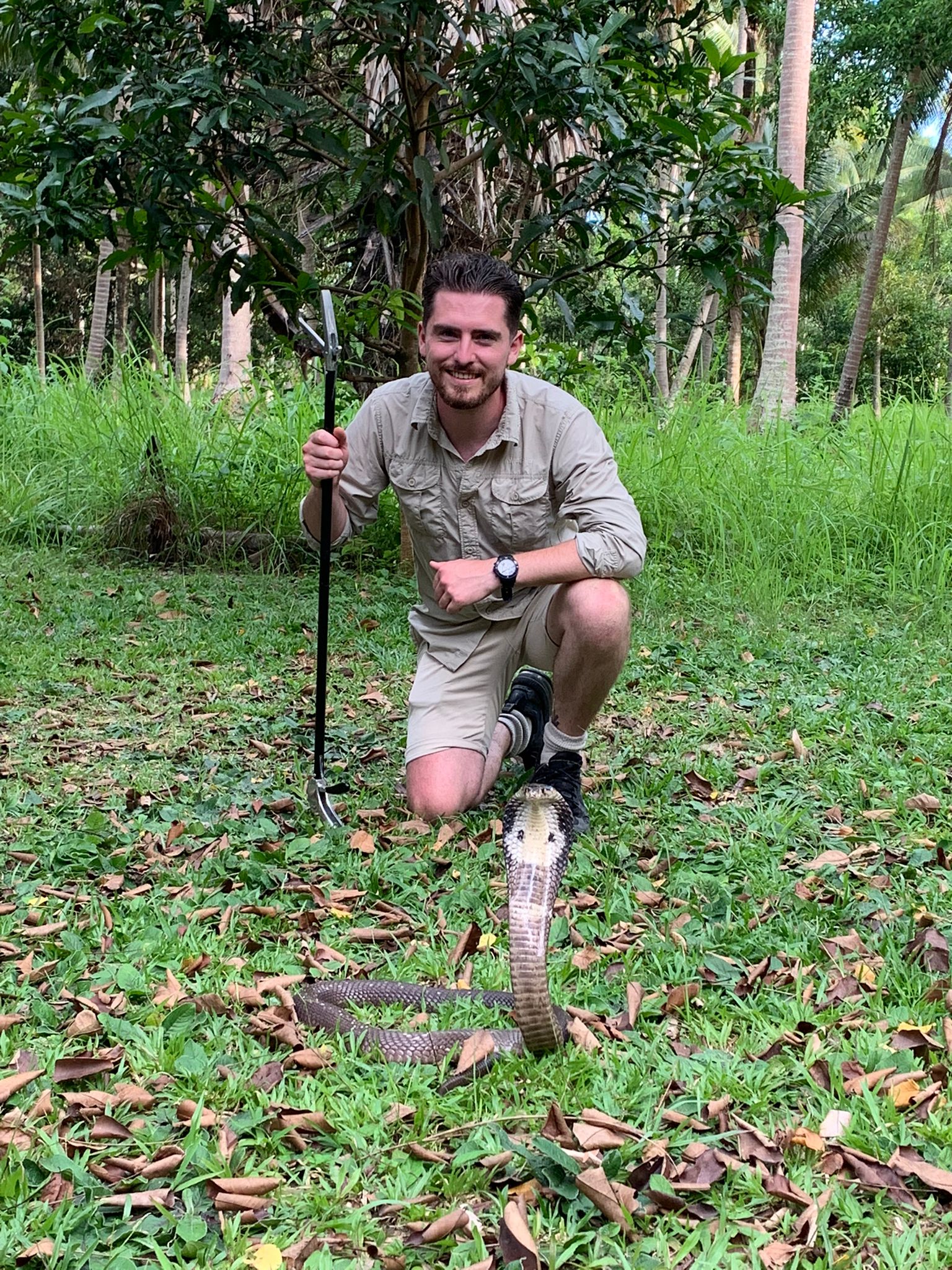Jory van Thiel knees in the grass with a monocled cobra in front of him.