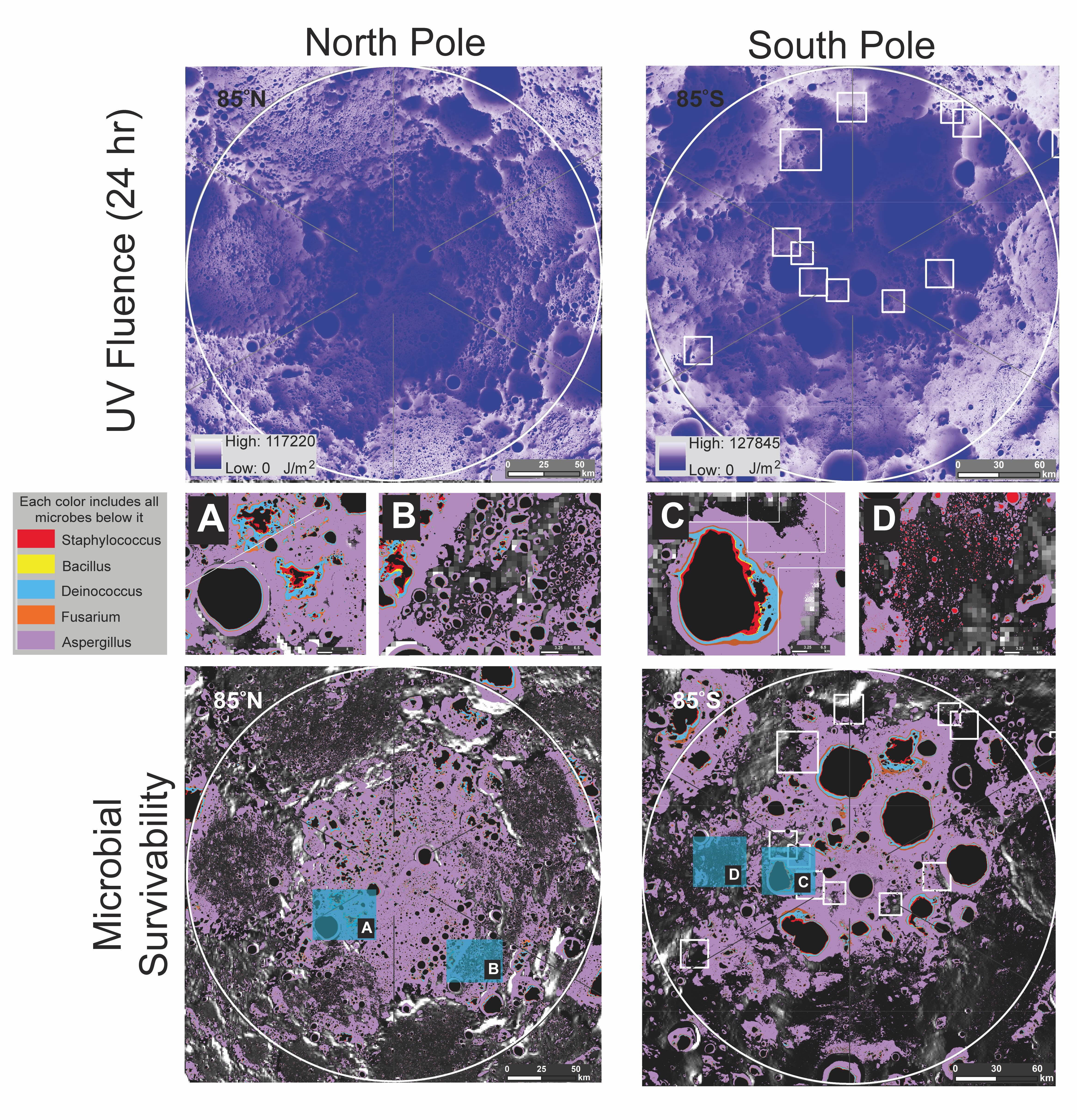 Series of moon maps depicting with shapes and colors possible "survivable niches" for earthly microbes based on new NASA/UMD research.