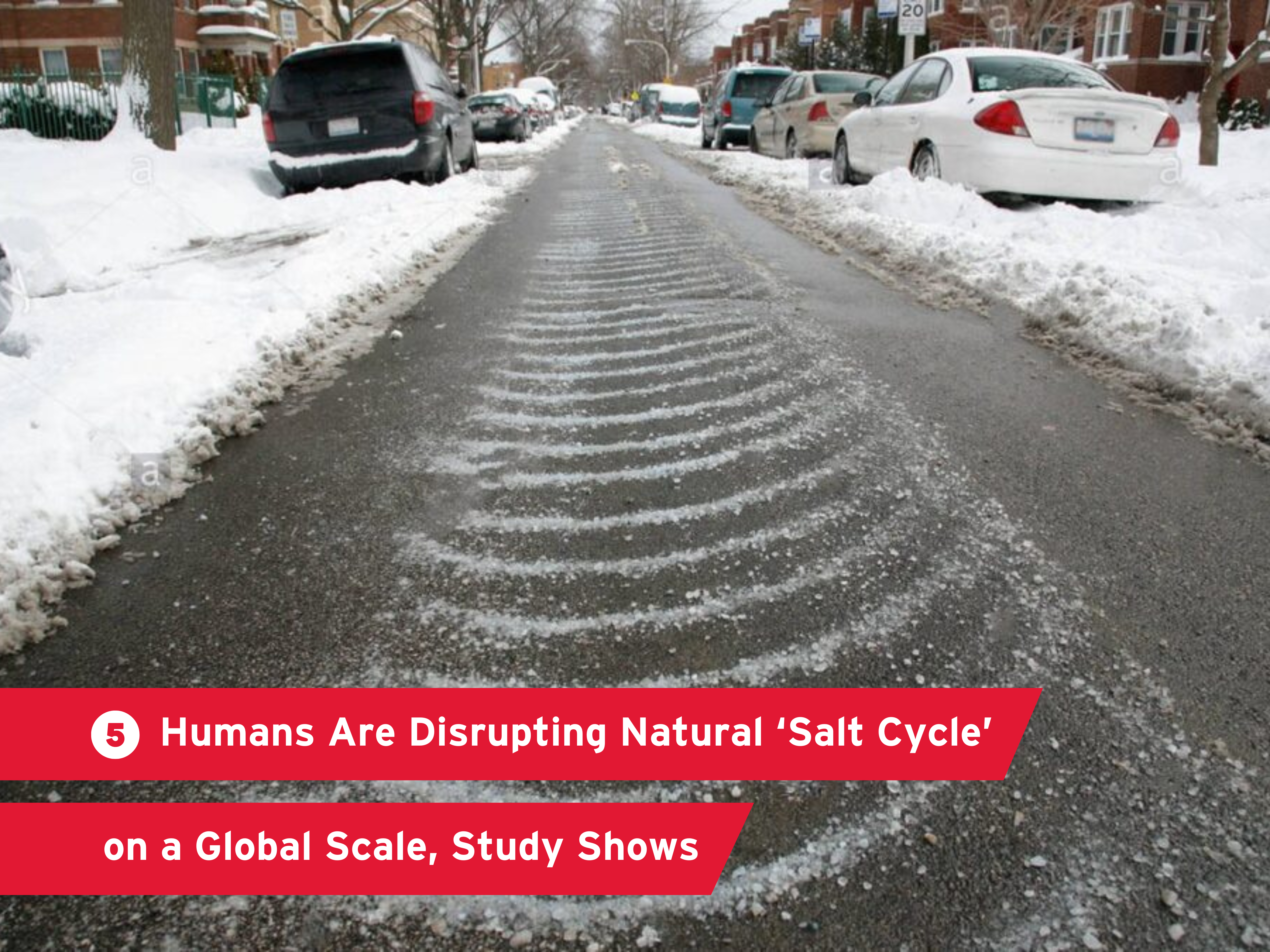 "Humans Are Disrupting Natural ‘Salt Cycle’ on a Global Scale, New Study Shows" over a background of road salt on the street on a snowy day