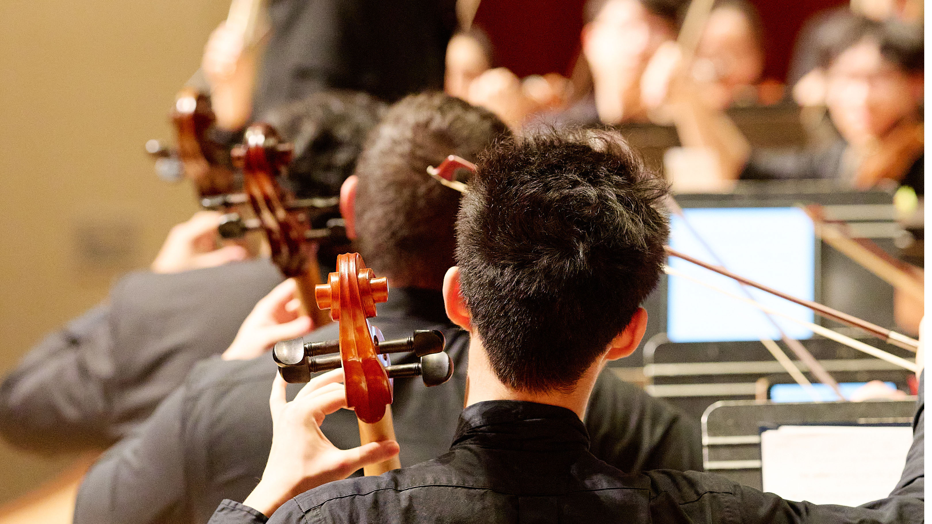 Cello players looking at conductor.