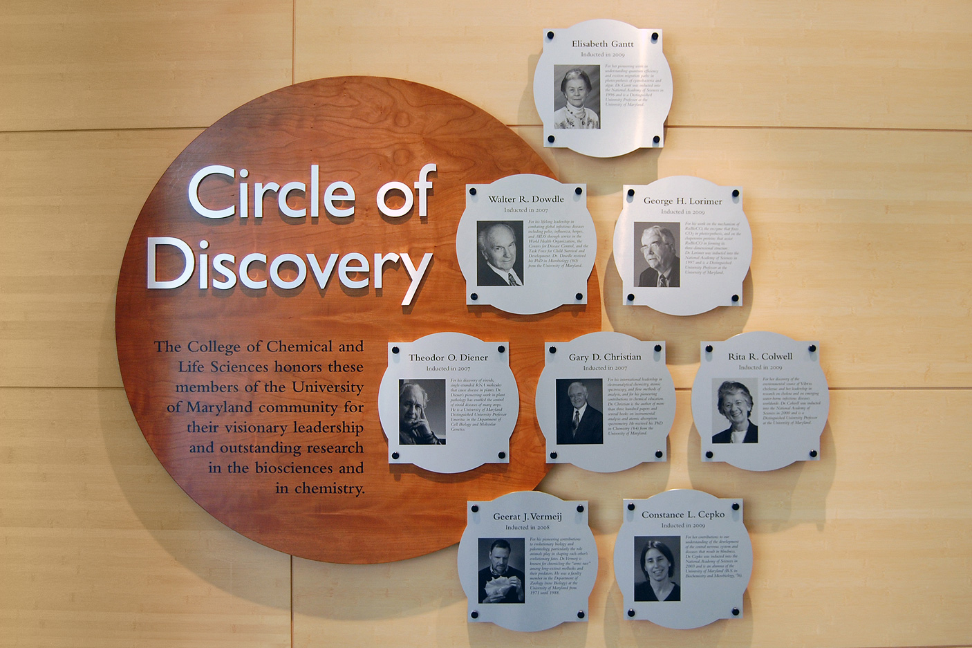 Circle of Discovery Display