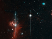 Zwicky Transient Facility Sees 