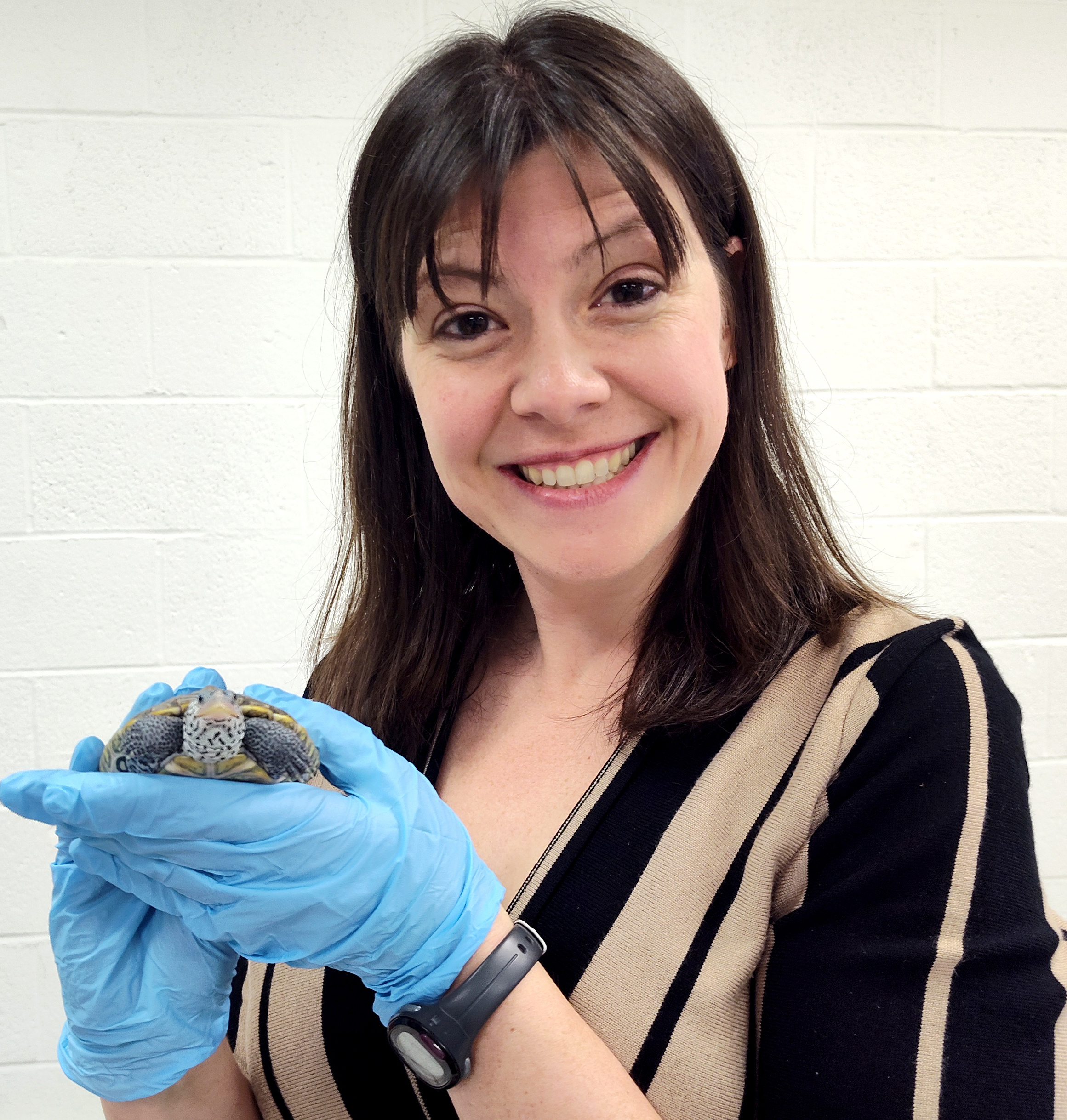 Sara Lombardi holding a Diamondback Terrapin in BSCI 473: Marine Ecology. Photo courtesy of same.