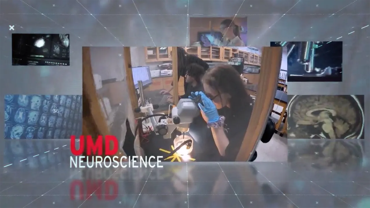 Neuroscience at UMD