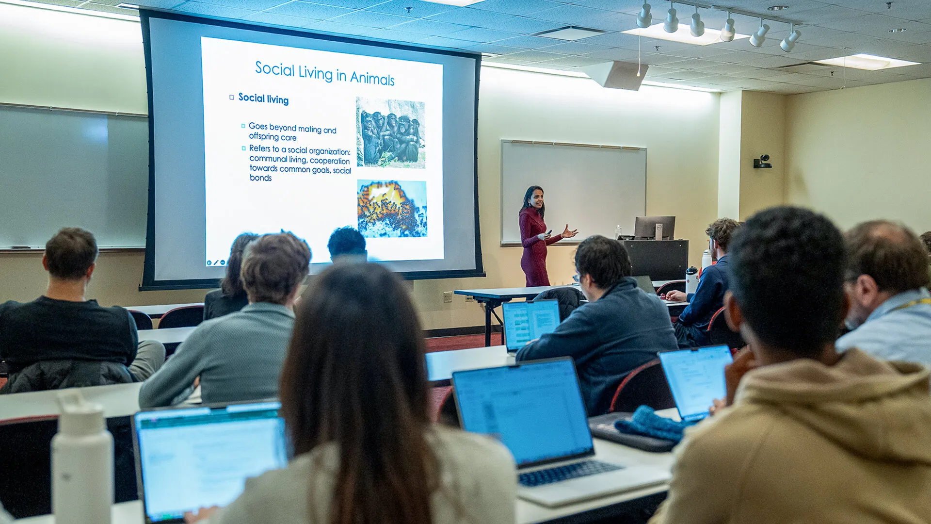 researcher shows slide that says, "Social Living in Animals" to group in classroom