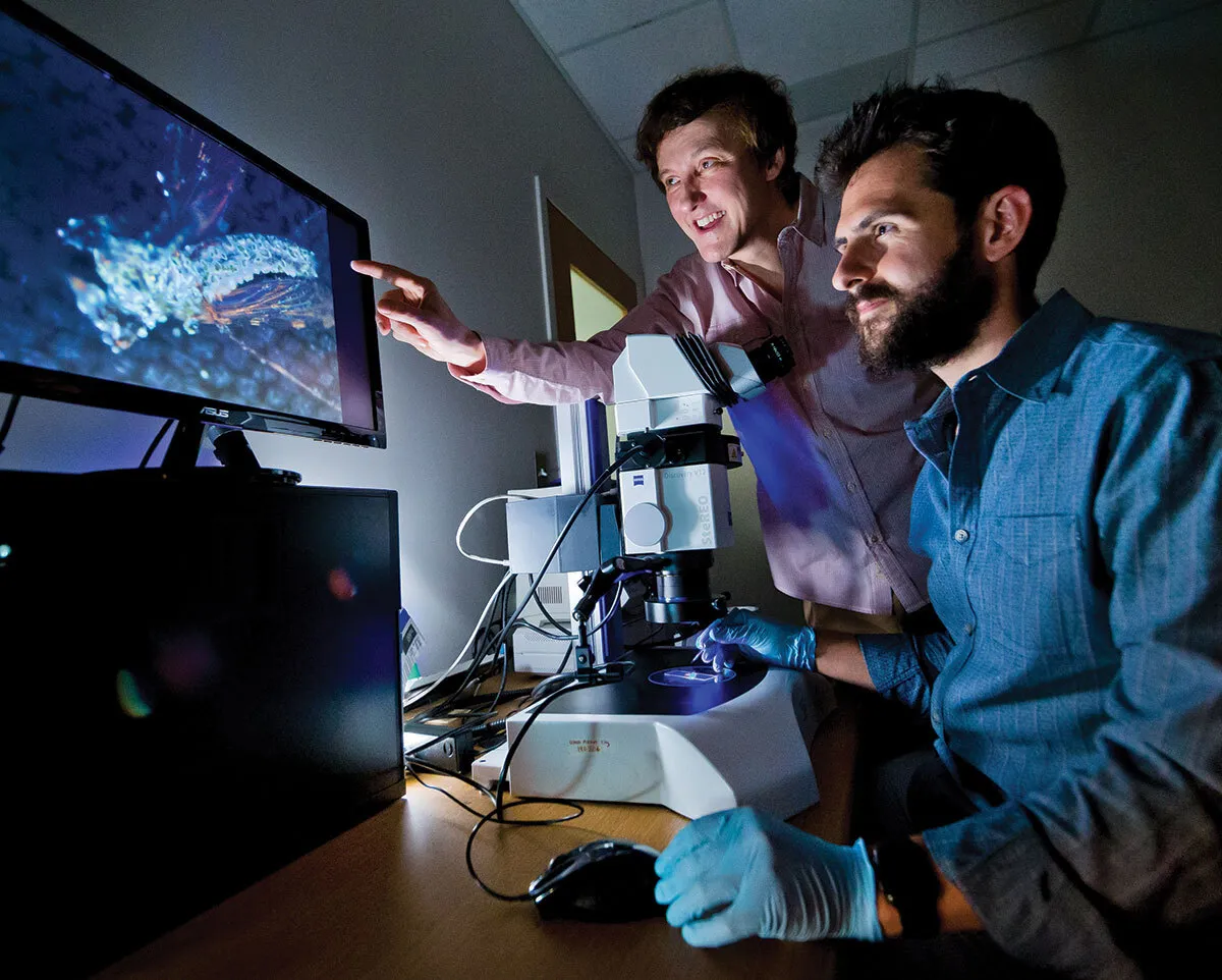 Raymond St. Leger and Brian Lovett look at microscope in lab