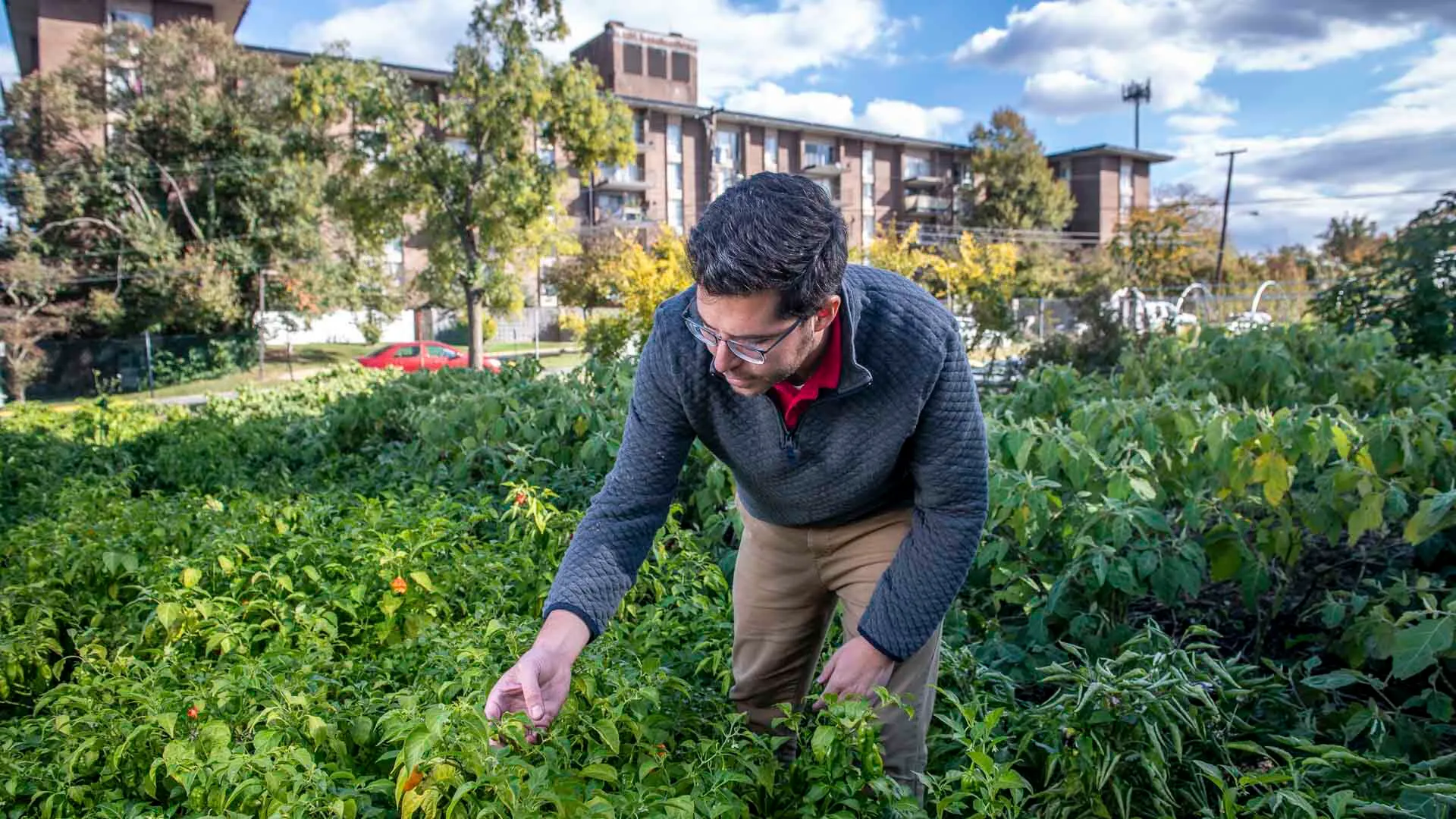 Ryan Blaustein stands in a field of plants at Bladensburg's Eco City Farms