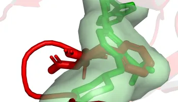 University of Maryland Scientists ‘Cautiously Optimistic’ About AI’s Role in Drug Discovery