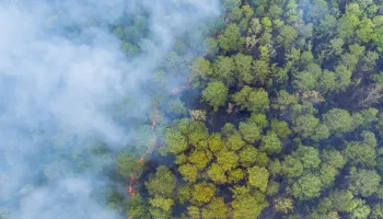 Improving Wildfire Tracking with Satellite Detection