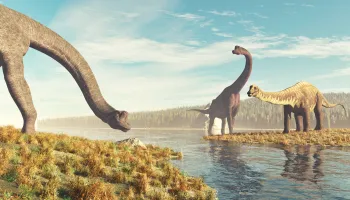 ‘Free-Range’ Dinosaur Parenting May Have Created Surprisingly Diverse Ancient Ecosystems