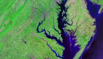 Satellites Offer New View of Chesapeake Bay’s Marine Heat Waves