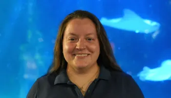 Flippers, Fins and Terrapins