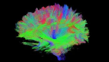Mapping the Mind