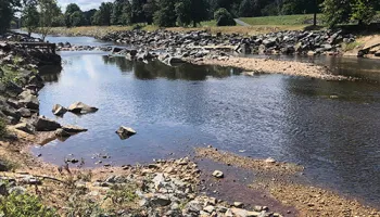 Climate Change Is Hurting the Water Quality of Rivers, According to New Scientific Review