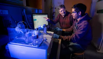 New Molecules Capture, Contain and Clear Neuromuscular Blocking Agents