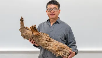 Discovery of 3,775-Year-Old Preserved Log Supports ‘Wood Vaulting’ as a Climate Solution