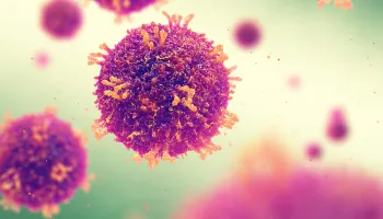 Study Foresees Heightened Measles Epidemic Risk for Florida