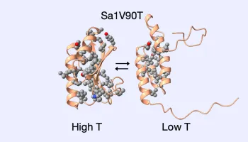 New Paper Suggests Cold Temperatures Trigger Shapeshifting Proteins