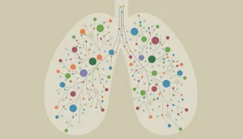To Rid Body of Asthma and COPD, UMD Researchers Hack Into Mucus Protein