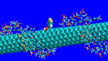 Finding the Fingerprint of a Disease