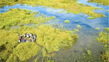 New Chesapeake Bay Minor Will Train Students to Understand One of the World's Largest and Most Productive Estuaries