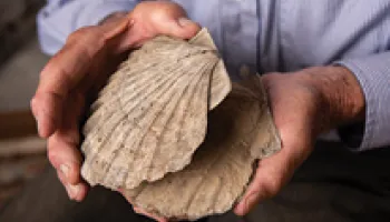 A Bedrock Gift for Geology Seniors