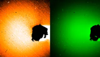 UMD-led Team Maps Gas Emissions from Comet 67P/Churyumov-Gerasimenko