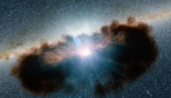 Black Holes with Ravenous Appetites Define Type I Active Galaxies