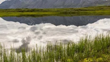ICESpark: Opening Doors for Science Discoveries in the ‘New Arctic’ and Beyond