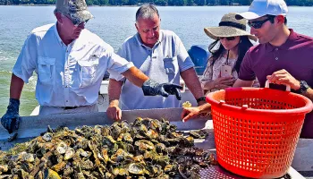 Maryland-led, Multi-institutional Research Team Receives $10M to Transform Shellfish Farming with Smart Technology