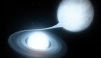 Zwicky Transient Facility Spots a Bumper Crop of Supernovae, Black Holes and more