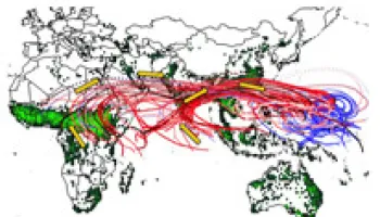 Fires Burning in Africa and Asia Cause High Ozone in Tropical Pacific
