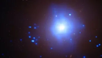 Star-shredding black holes