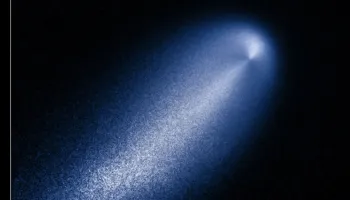 Hubble Brings Faraway Comet Into UMD Researchers' View