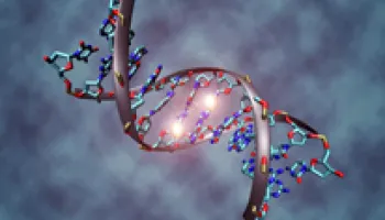 New Method Identifies Genetic Factors That Could Contribute to Risk for Heart Disease 