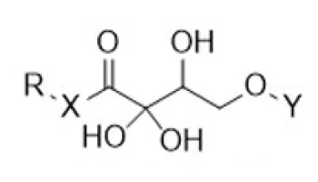 UMD Patents Compounds that Inhibit Biofilm Formation and Persistence