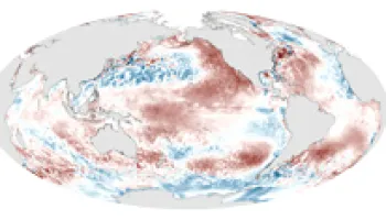 Wind Bursts Strongly Affect El Niño Severity