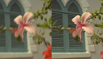 New Algorithm Repairs Corrupted Digital Images in One Step
