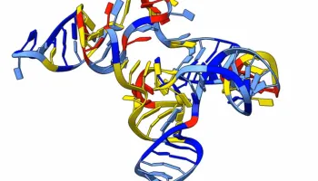New UMD Startup Builds the ‘Picks and Shovels’ for the RNA Revolution 