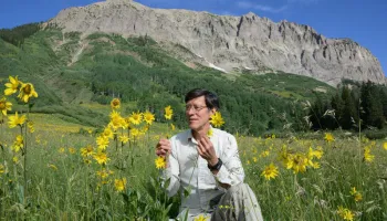  Biology’s David Inouye Discusses the Value of Wildflowers to Climate Scientists – Smithsonian