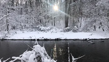 New Scoring Scale Tracks the Harmful Effects of Salt Pollution in Freshwater Streams and Rivers