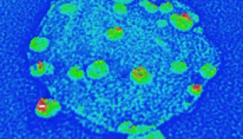 Tiny Diamonds Could Enable Huge Advances in Nanotechnology