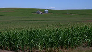USDA Funds UMD Project to Sustain Agricultural Production in the Corn Belt with $10 Million