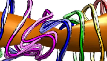 UMD Physicist Improves Method for Designing Fusion Experiments
