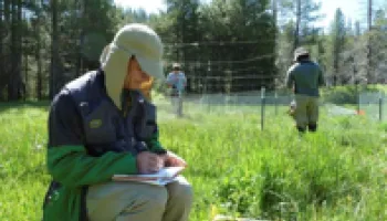 Scientists Force Rethinking of Ecological Paradigm through the Power of Global Science Network