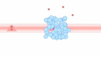 Two (Photons) is Company, Three’s a Crowd
