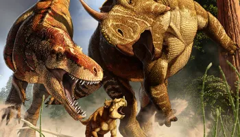 T. rex’s Long Legs Were Made for Marathon Walking