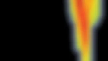 UMD Neuroscientists Identify Source of Early Brain Activity