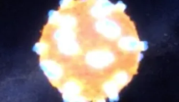 Caught For The First Time: The Early Flash Of An Exploding Star